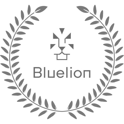 Digital Health Initiative by Bluelion: 2x Finalist 2022