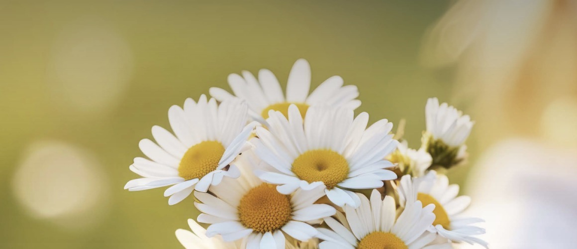 sublimd im aktuellen Nachhaltigkeitsbericht des Kantonsspitals Baden